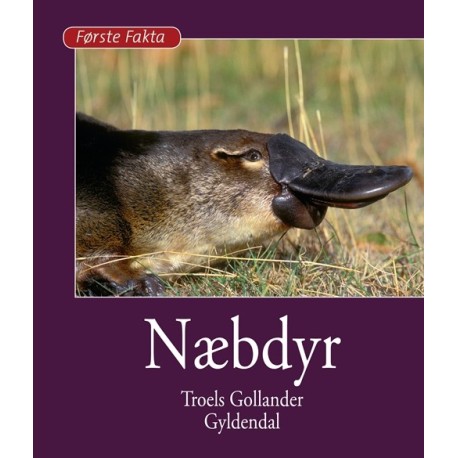 Næbdyr