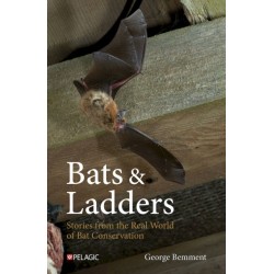 Bats & Ladders: Stories from the Real World of Bat Conservation