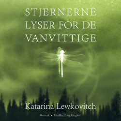 Stjernerne lyser for de vanvittige