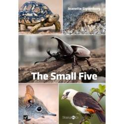 The Small Five
