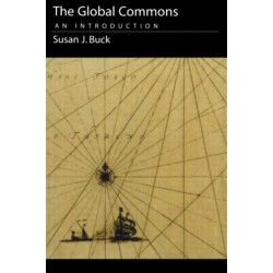 The Global Commons: An Introduction