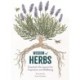 Wisdom of Herbs: Essential Life Lessons for Inspiration and Wellbeing