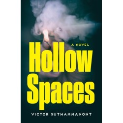 Hollow Spaces: A Novel