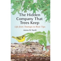 The Hidden Company That Trees Keep: Life from Treetops to Root Tips