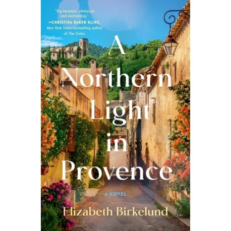 A Northern Light in Provence: A Novel