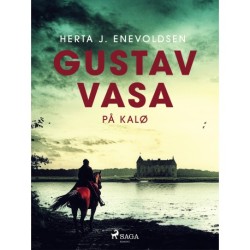 Gustav Vasa på Kalø