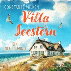 Villa Seestern – Ein neuer Wind: Ein warmherziger Amrum-Roman – Nordsee-Feelgood pur!