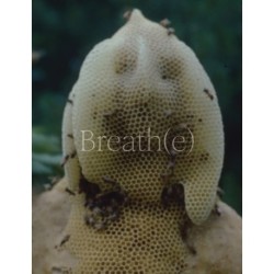 Breath(e): Toward Climate and Social Justice