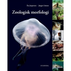 Zoologisk morfologi