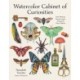 Watercolor Cabinet of Curiosities: Paint Perfectly Peculiar Insects, Antiques & Other Oddities
