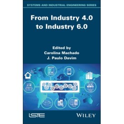 From Industry 4.0 to Industry 6.0