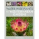 Water-Wise Plants for Mediterranean Gardens
