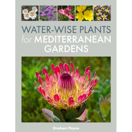 Water-Wise Plants for Mediterranean Gardens