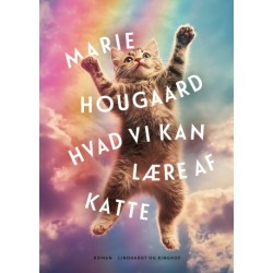 Hvad vi kan lære af katte