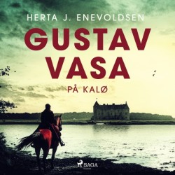 Gustav Vasa på Kalø