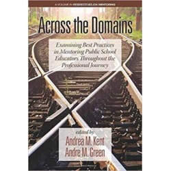 Across the Domains: Examining Best Practices in Mentoring Public School Educators throughout the Professional Journey
