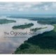 The Ogooue Delta