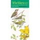 Warblers in Your Pocket: A Guide to the Wood-Warblers of the Upper Midwest