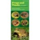Frogs and Toads in Your Pocket: A Guide to Amphibians of the Upper Midwest