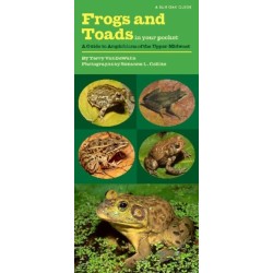Frogs and Toads in Your Pocket: A Guide to Amphibians of the Upper Midwest