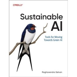 Sustainable AI: Tools for Moving Towards Green AI