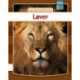 Løver