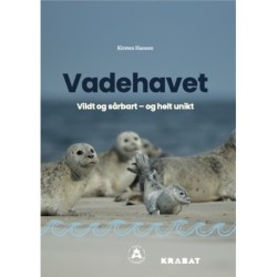 Vadehavet