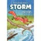 Storm -2: Storm og regn