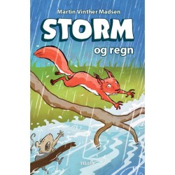 Storm -2: Storm og regn
