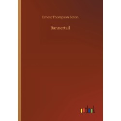Bannertail