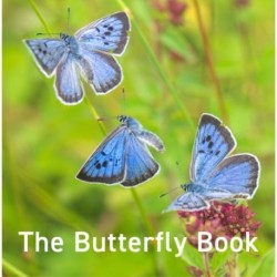 The Nature Book Series: The Butterfly Book