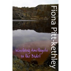 Washing Amethysts in the Bidet