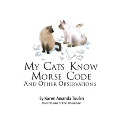 My Cats Knows Morse Code And Other Observations