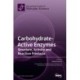 Carbohydrate-Active Enzymes: Structure, Activity and Reaction Products