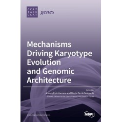 Mechanisms Driving Karyotype Evolution and Genomic Architecture