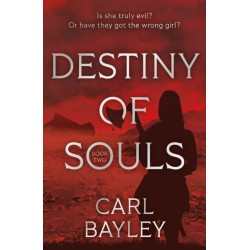 Destiny of Souls