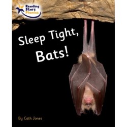 Sleep Tight, Bats!: Phase 4