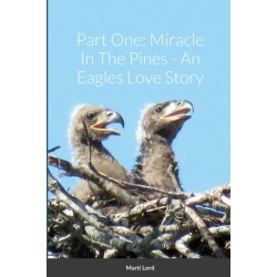 Part One: Miracle In The Pines - An Eagles Love Story
