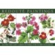 Redoute Paintings