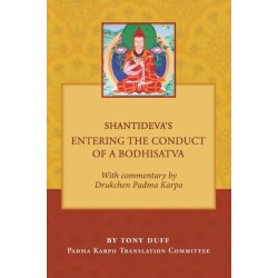 Shantideva's Entering the Conduct of a Bodhisatva