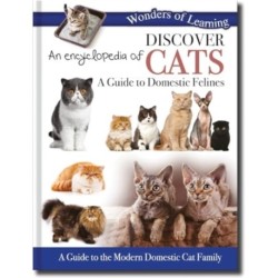 Discover an Encyclopedia of Cats: A Guide to Domestic Felines