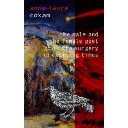 The Male and the Female Poet Go to the Surgery in Exciting Times: and Other Poems