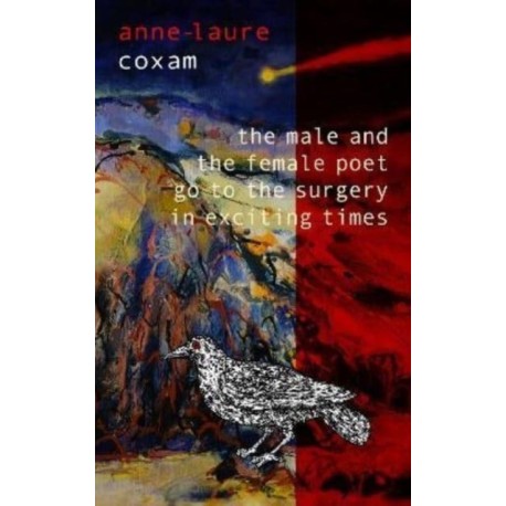 The Male and the Female Poet Go to the Surgery in Exciting Times: and Other Poems
