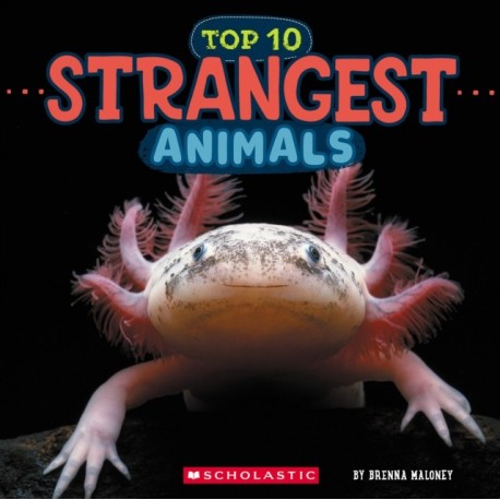 Strangest Animals (Wild World: Top 10)