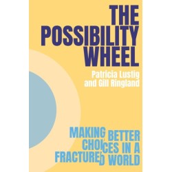 The Possibility Wheel: Making better choices in a fractured world