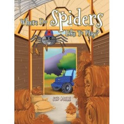 Where Do Spiders Like To Play?