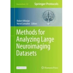 Methods for Analyzing Large Neuroimaging Datasets