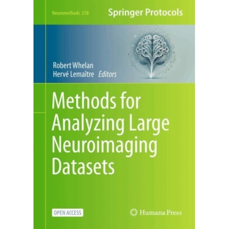 Methods for Analyzing Large Neuroimaging Datasets
