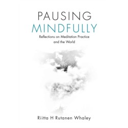 Pausing Mindfully: Reflections on Meditation Practice and the World