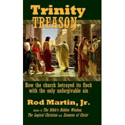 Trinity Treason: How the church betrayed its flock with the only unforgivable sin